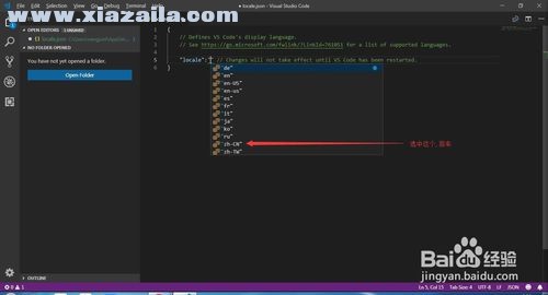 Visual Studio Code怎样设置中文？