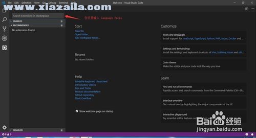 Visual Studio Code怎样设置中文？