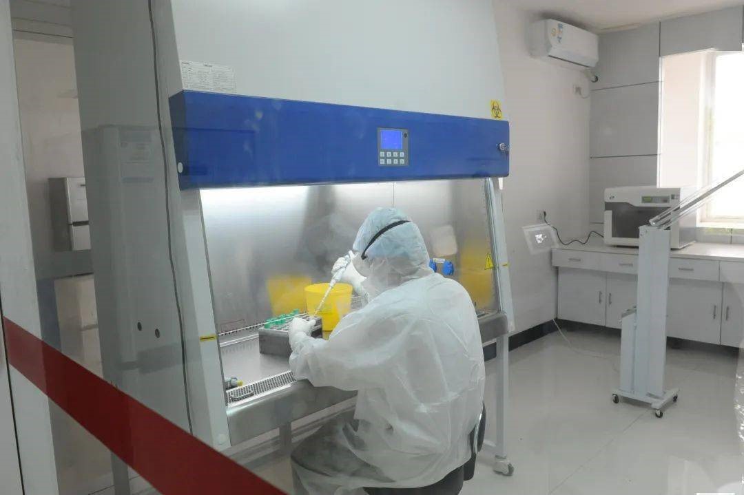 核酸提取仪：科研实验中的关键助力