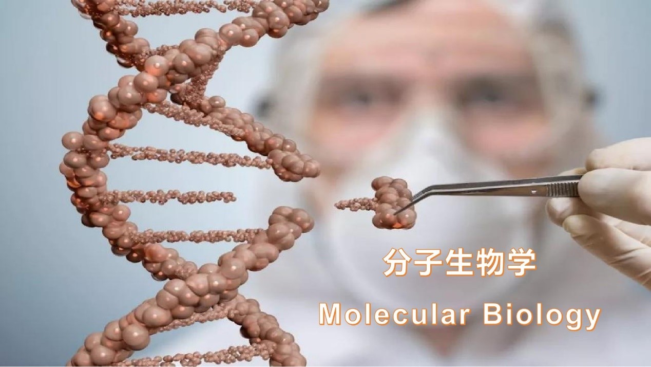 荧光定量PCR仪在基础生物学研究中的应用进展