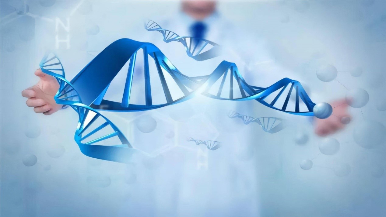 核酸提取仪：生命科学基础研究的核心助力