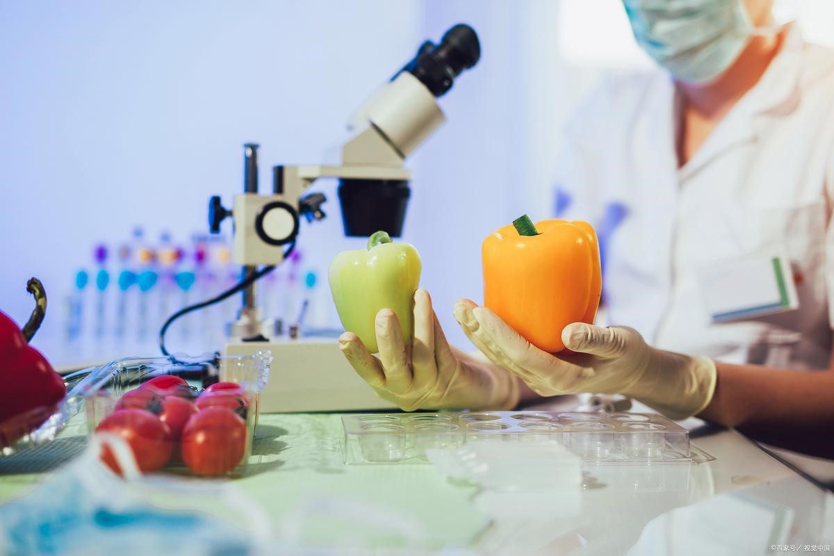 荧光定量PCR仪：守护食品安全的科研利器