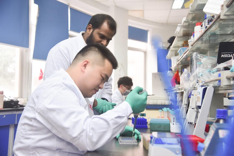 三气培养箱在科研实验中的应用：实验设计与效果验证