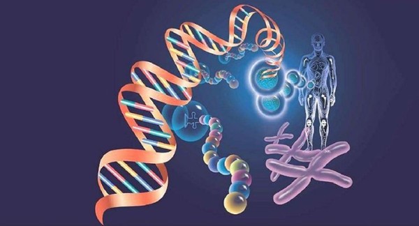 博清生物核酸提取仪：单细胞核酸分析的新利器