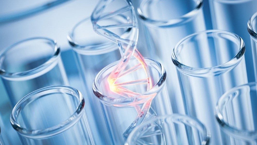 博清生物荧光定量PCR仪：分子生物学基因分型与突变检测的得力助手