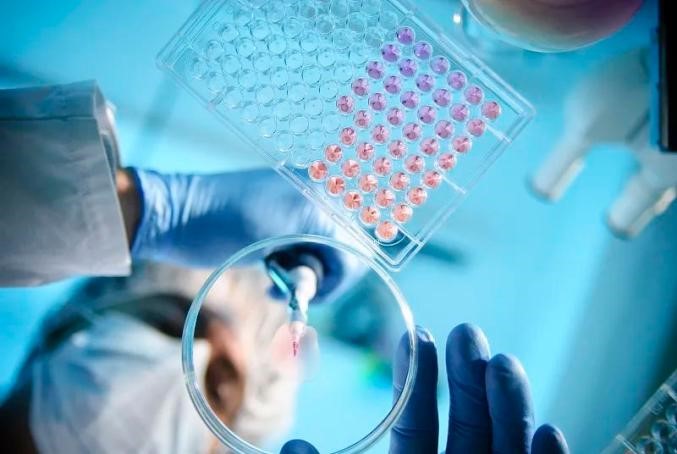 酶标仪在生命科学研究领域的应用