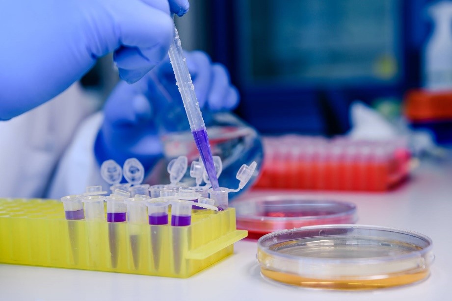博清生物单道移液器在分子生物学实验中PCR体系构建的应用