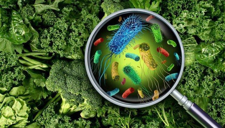 博清生物核酸提取仪：筑牢食品安全中微生物污染监测防线