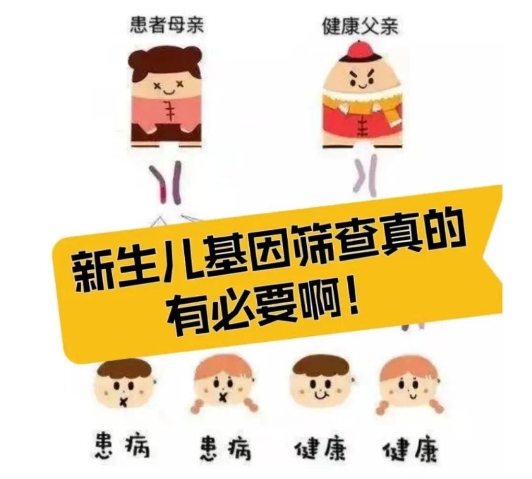 核酸提取仪在遗传病产前筛查中的应用研究