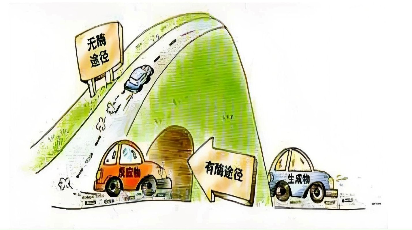 荧光计在生命科学研究中酶活性分析的应用