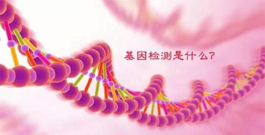荧光定量PCR仪在肿瘤基因检测与疗效评估中的关键作用
