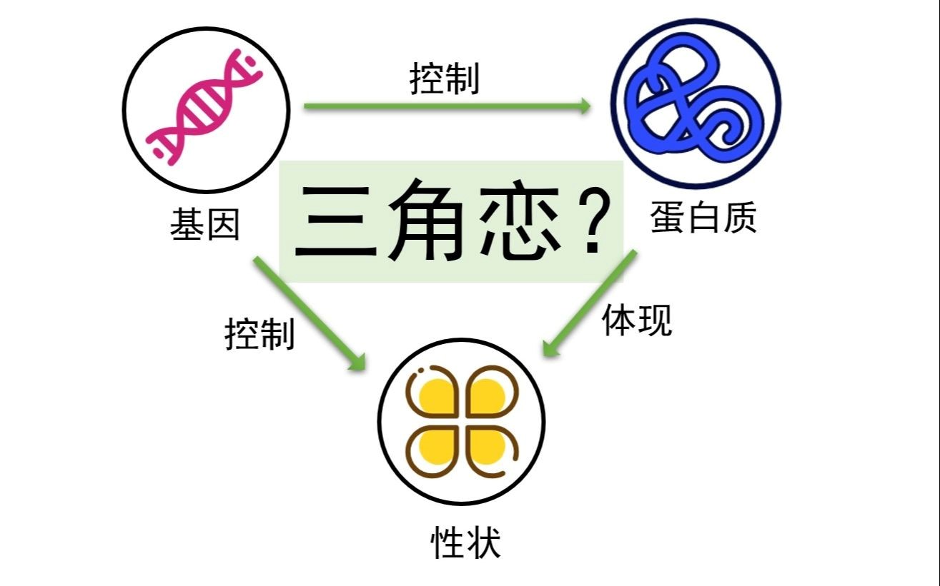 博清生物酶标仪在生物科研基因表达分析中的应用探索