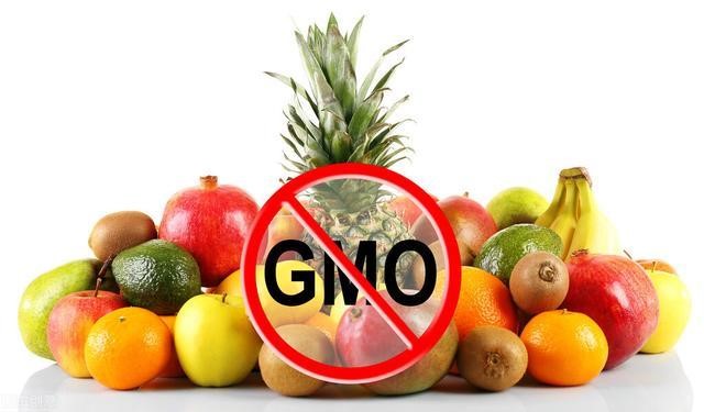 博清生物核酸提取仪在食品安全转基因成分检测中的应用研究