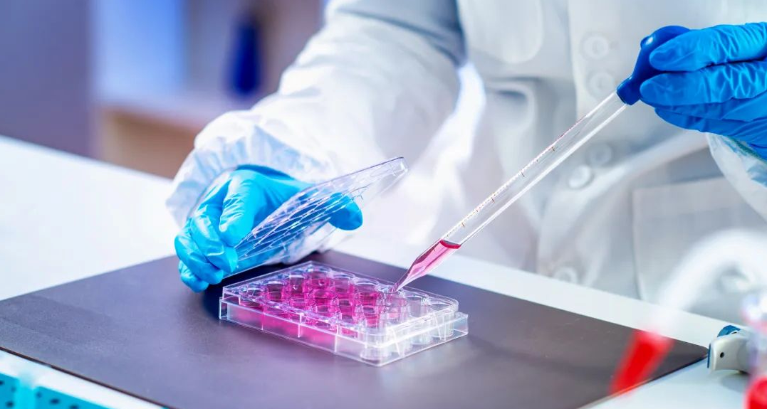 博清生物自动分液系统：细胞培养与接种的创新驱动力