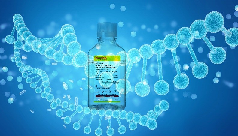 电热恒温水浴锅在细胞生物学实验中细胞培养试剂预热的革新应用
