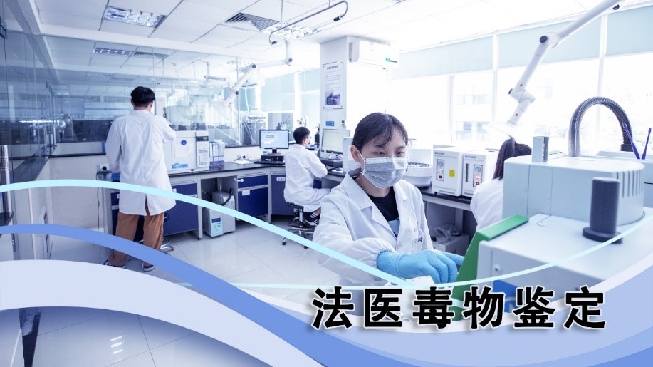荧光定量PCR仪在法医与司法鉴定中毒物代谢基因检测的应用研究
