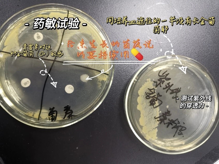 自动分液系统在微生物药敏试验中的应用研究