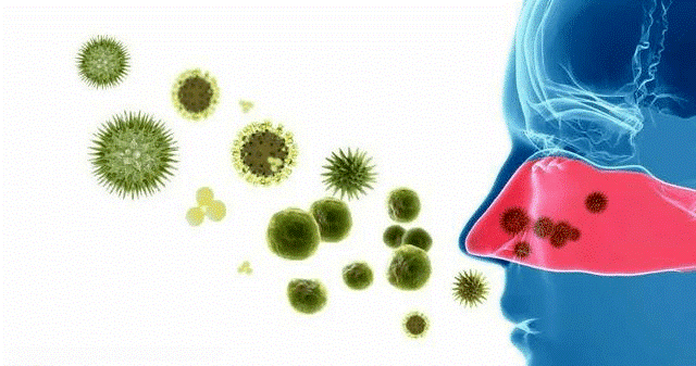 酶标仪在病毒性疾病病原体检测中的应用研究