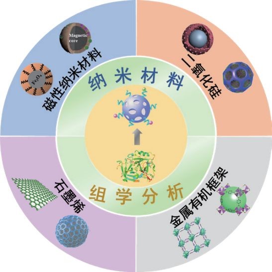 荧光计在化学与材料科学中纳米材料表征的应用研究