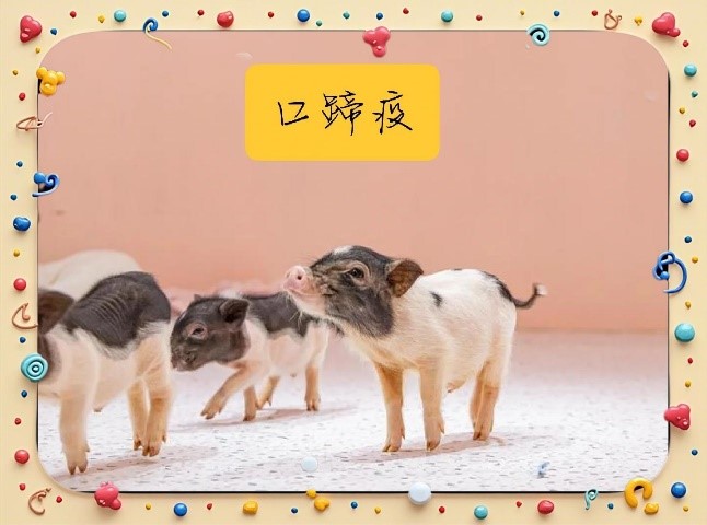 酶标仪在动物口蹄疫诊断中的应用与效能研究