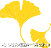 踔厉奋发，笃行不怠-长风融通2022年8月优秀员工篇