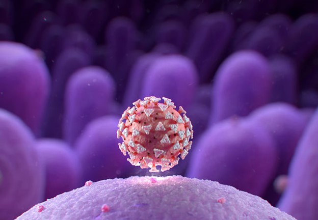 荧光定量PCR仪在病毒学病毒载量测定中的应用研究