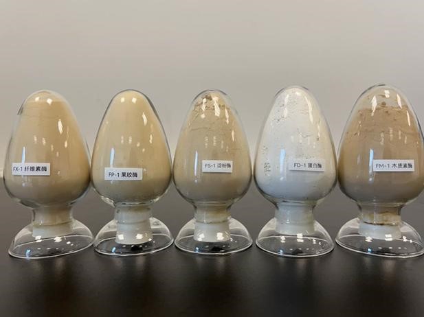 三气培养箱在厌氧发酵工程制备工业酶制剂中的应用研究