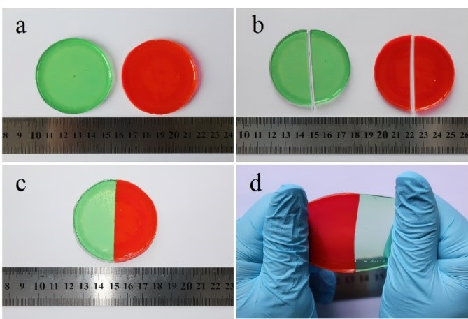 电热恒温水浴锅在聚合物溶解改性及水凝胶制备中的应用研究