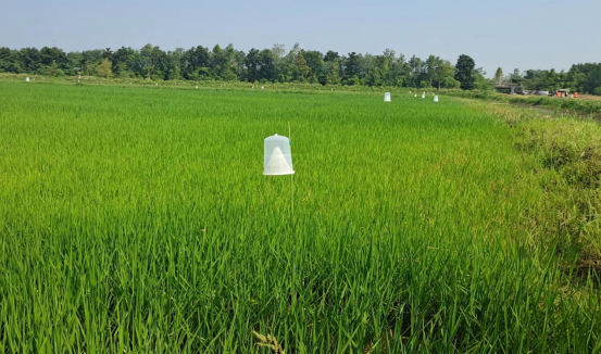 酶标仪在农业与畜牧业植物病害检测中的应用研究