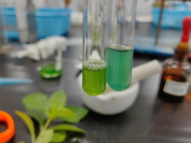 自动分液系统在植物生理研究中的应用及效能评估