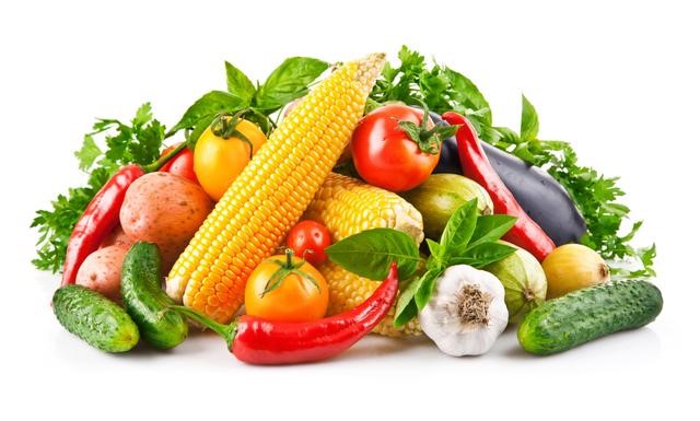 酶标仪在农业与畜牧业农产品品质评估中的应用研究