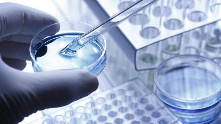 自动分液系统在高通量细胞铺板中的应用及效能评估