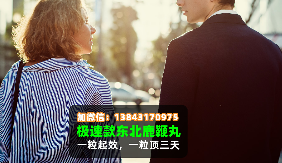 东北鹿鞭丸的功效与作用详解，传统滋补养生佳品