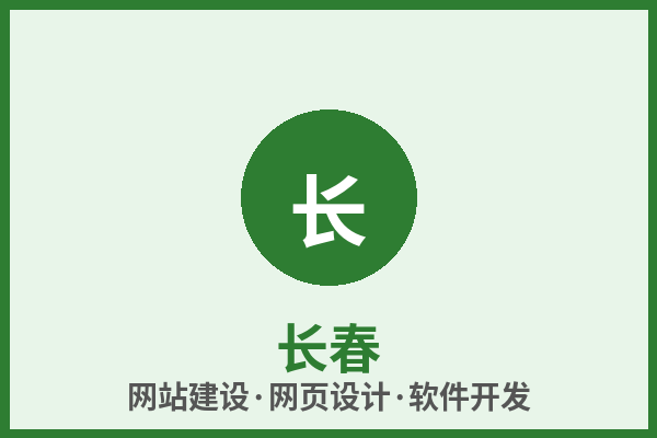 长春网站建设网页设计软件开发 本地团队匠心打造