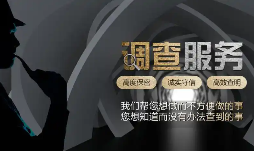 哈尔滨金鼎调查公司：专业铸就信赖，服务守护权益