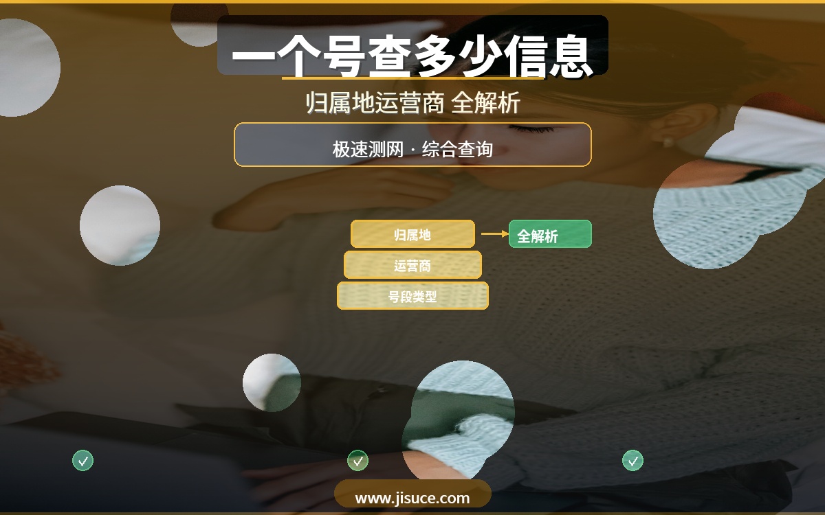 一个手机号能查出多少信息？归属地+运营商+号段全解析，极速测网最全