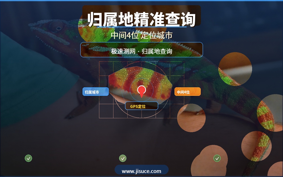 手机号中间4位竟能精准定位归属城市？极速测网归属地查询一查便知